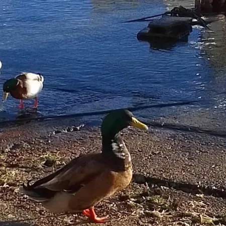 Lejlighed Ponente By Salento Oasis Porto Cesareo